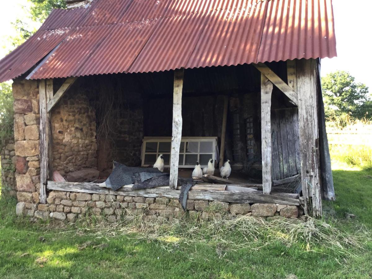 Apartamento Les Petits Champs Buais-les-Monts Exterior foto